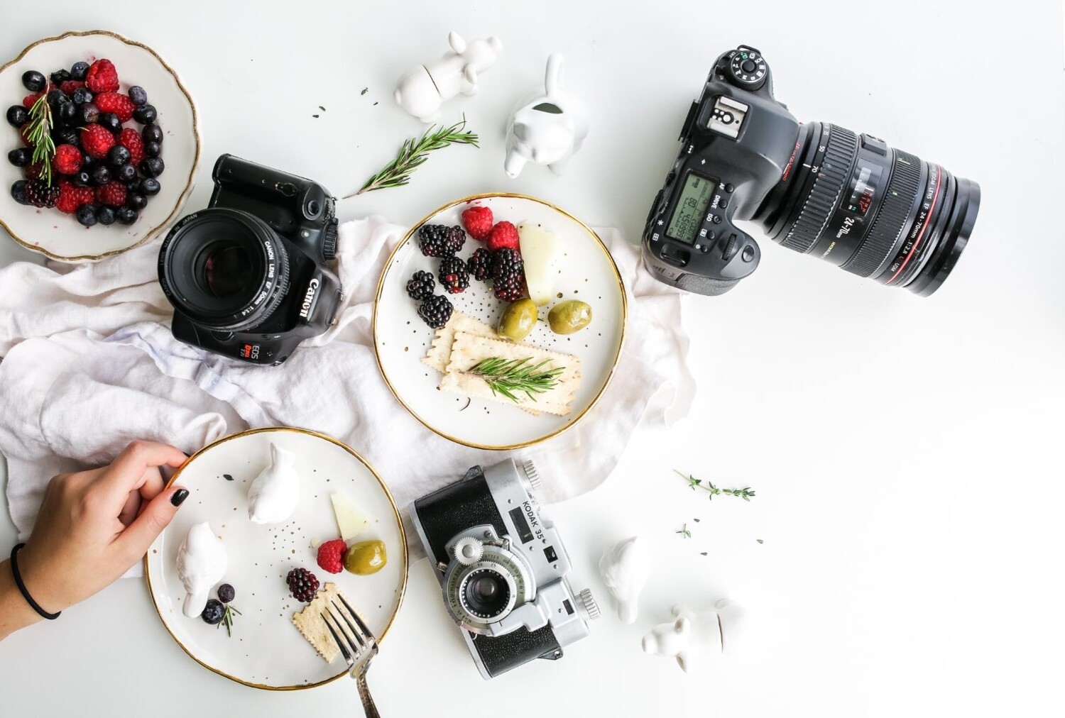 24-70mm lens photography