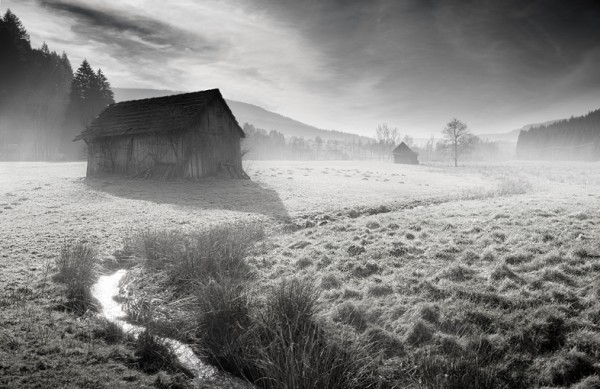 Lessons Learned About Photography