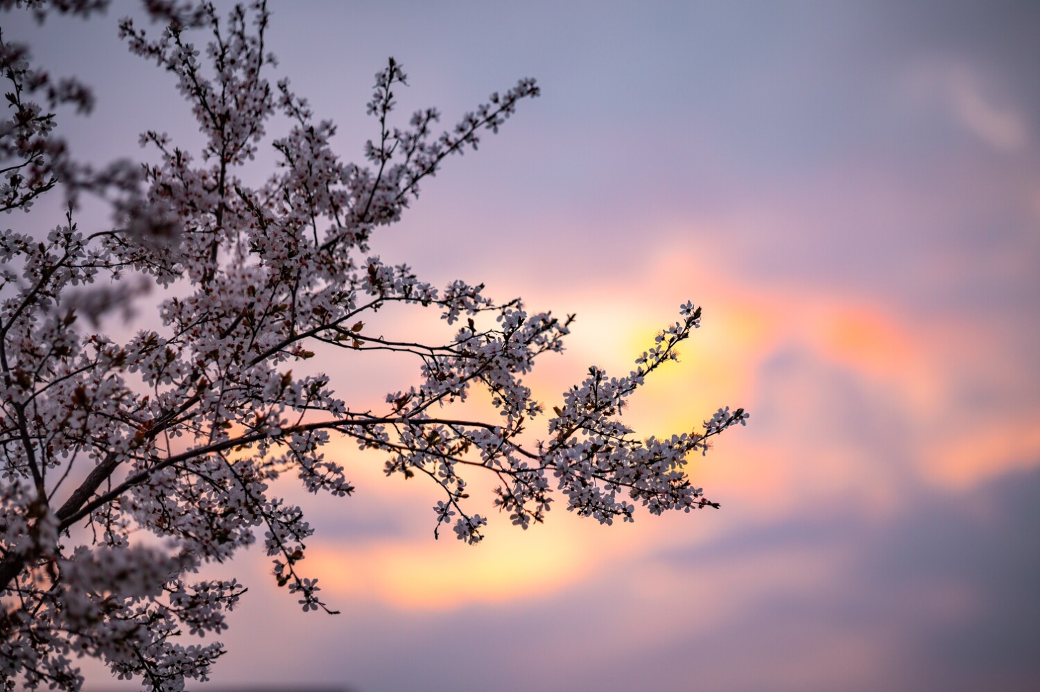 Nature photography