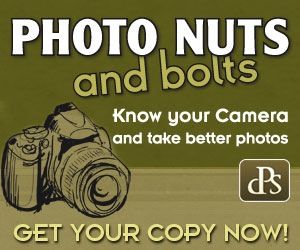 NutsBolts_Banner_300x250px.jpg